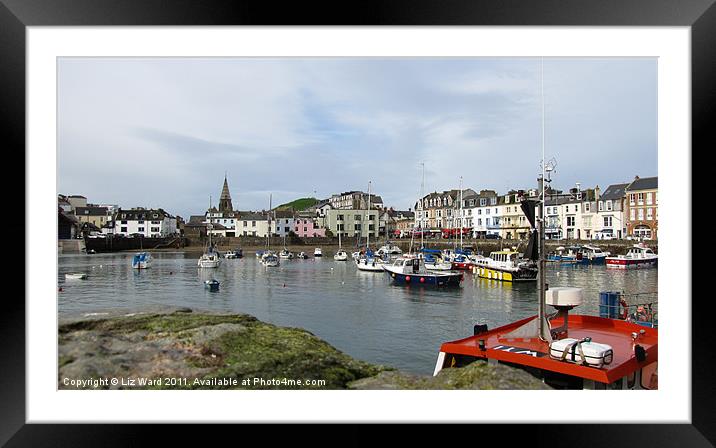 Ilfracombe Harbour Framed Mounted Print by Liz Ward