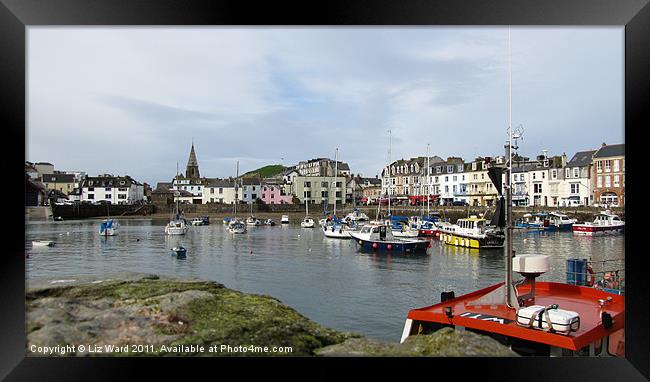 Ilfracombe Harbour Framed Print by Liz Ward