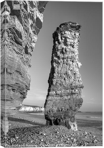 Lot's Wife sea-stack Canvas Print by Ray Pritchard