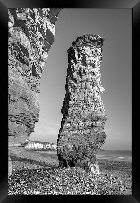 Lot's Wife sea-stack Framed Print by Ray Pritchard