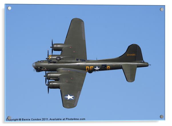 B-17 Flying Fortress Acrylic by Bernie Condon
