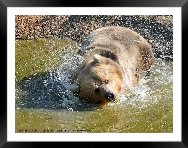 SHAKING IT ALL ABOUT Framed Mounted Print by Helen Cullens