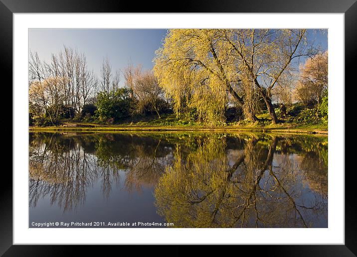 Exhibition Park Framed Mounted Print by Ray Pritchard