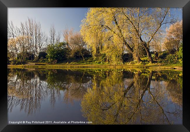 Exhibition Park Framed Print by Ray Pritchard