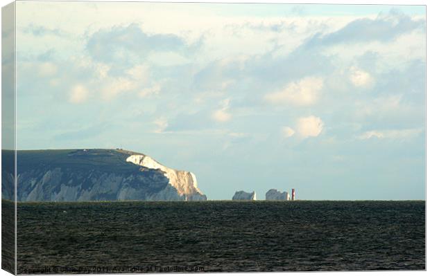 The Needles Canvas Print by Chris Day