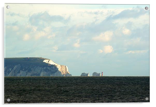 The Needles Acrylic by Chris Day