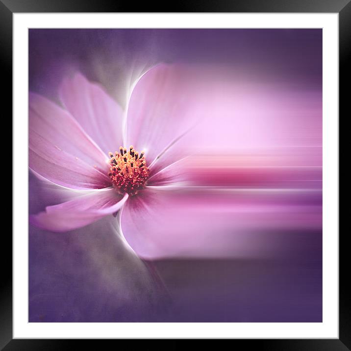 A Perfect Dream Framed Mounted Print by