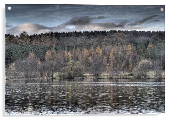 Steam Mills Lake Acrylic by David Tinsley