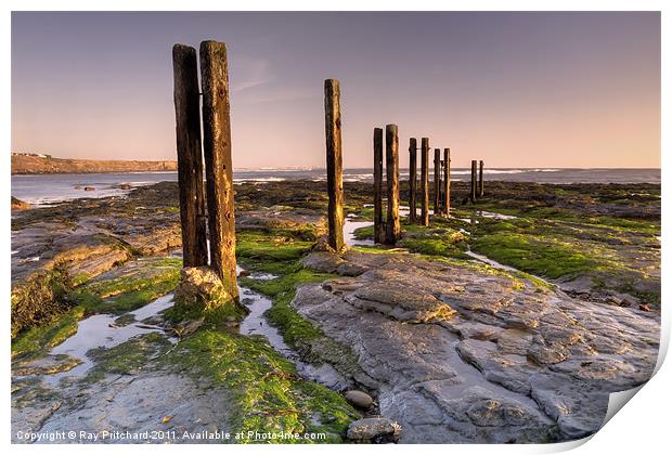Old Wooden Posts Print by Ray Pritchard