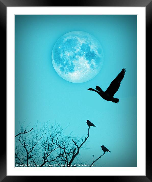 Night Flight Framed Mounted Print by Sharon Lisa Clarke