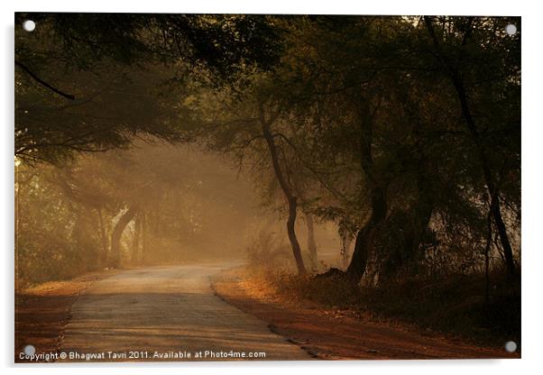A Misty Morning Acrylic by Bhagwat Tavri