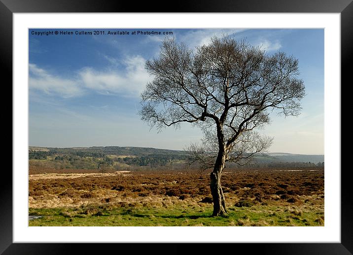 MOORLAND TREE Framed Mounted Print by Helen Cullens