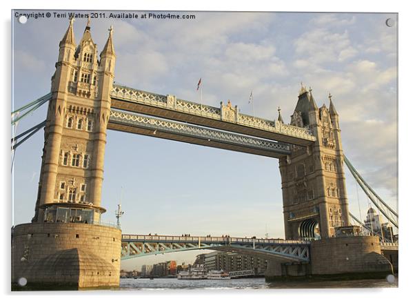 Tower Bridge London Acrylic by Terri Waters