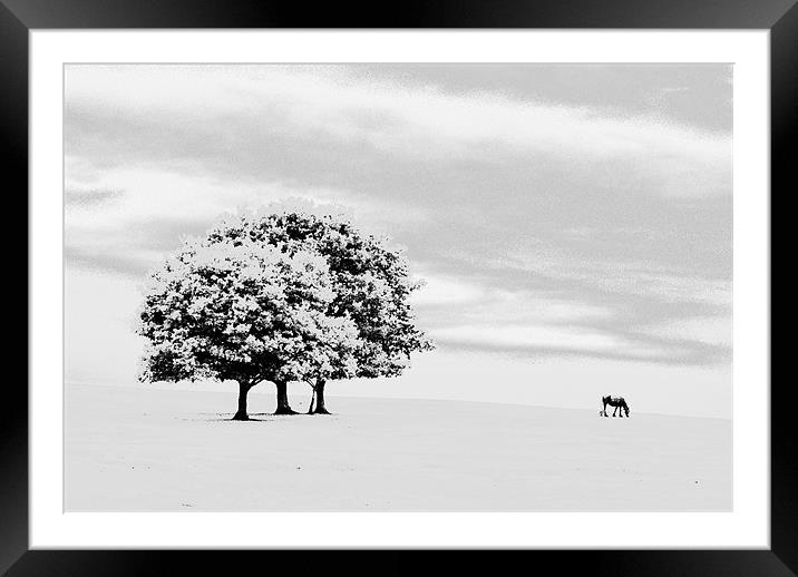 lone horse Framed Mounted Print by richard downes