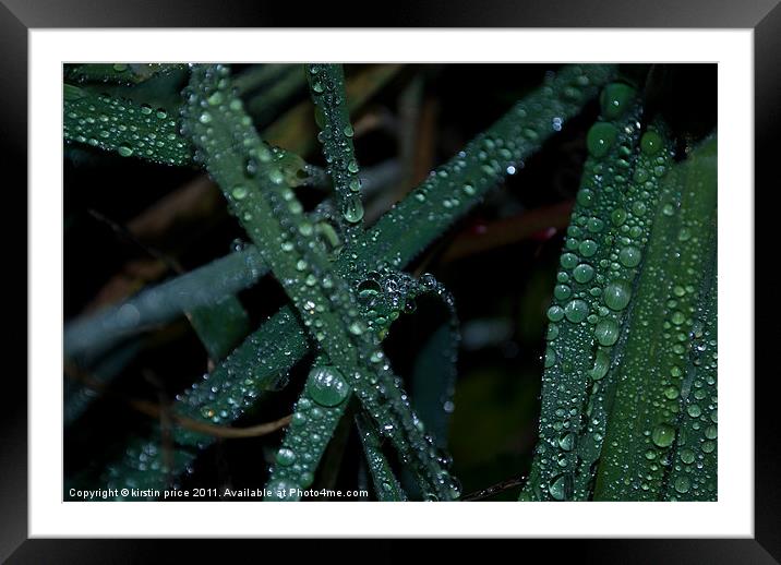 wet grass Framed Mounted Print by kirstin price
