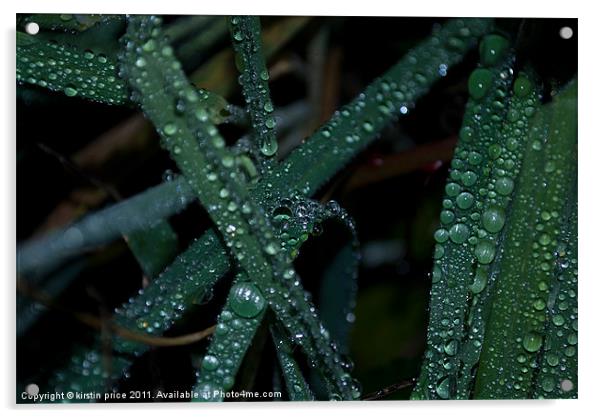 wet grass Acrylic by kirstin price