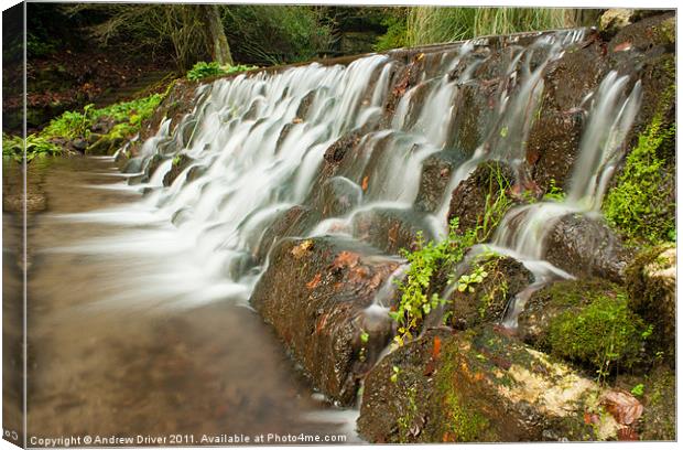 Waterfall in Treverno Gardens Canvas Print by Andrew Driver