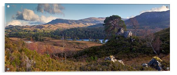 Glen Affric panorama II Acrylic by Gary Eason