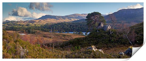 Glen Affric panorama II Print by Gary Eason