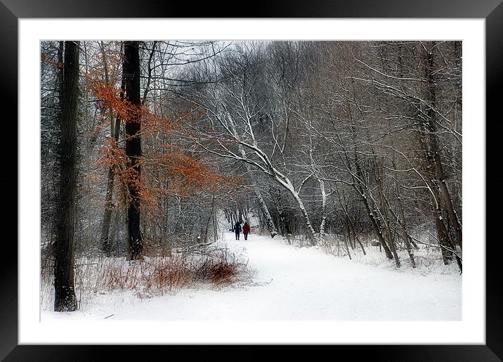 Winter Walk Framed Mounted Print by Elaine Manley
