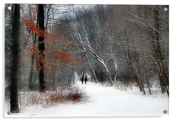 Winter Walk Acrylic by Elaine Manley