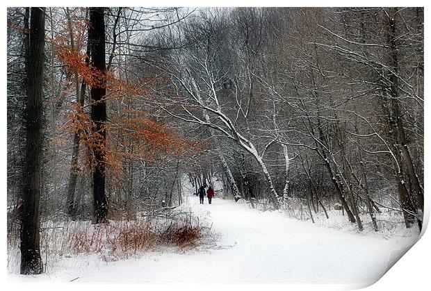 Winter Walk Print by Elaine Manley