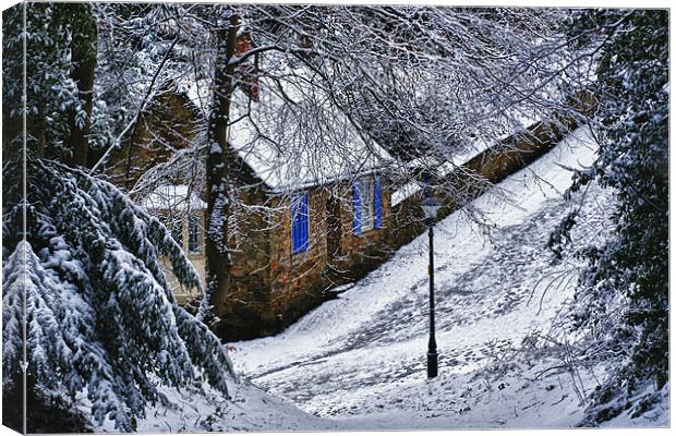 Snowy Lane Canvas Print by kevin wise