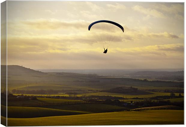 Over the Downs Canvas Print by Richard Thomas