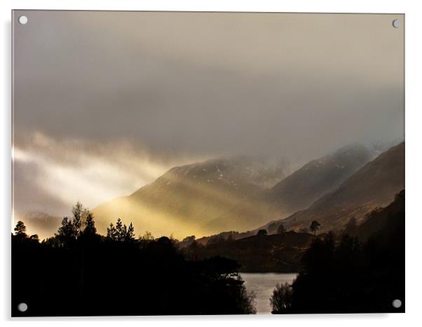 Sunbeams in Glen Affric Acrylic by Jacqi Elmslie