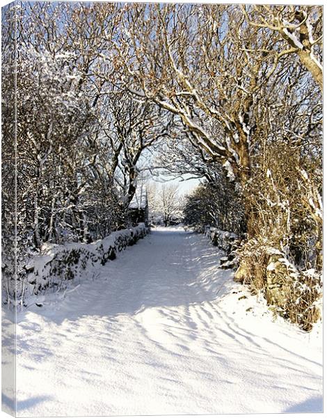 Cwyfan Snow Walk Canvas Print by Ian Tomkinson