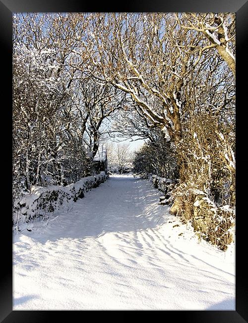 Cwyfan Snow Walk Framed Print by Ian Tomkinson