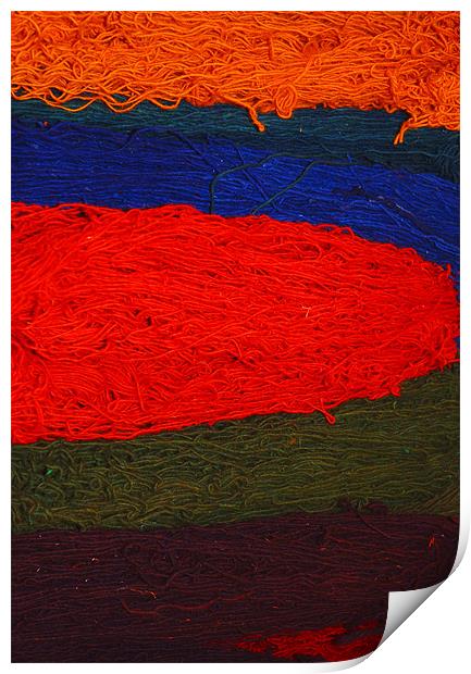 Turkish rug wool Print by Lisa Shotton
