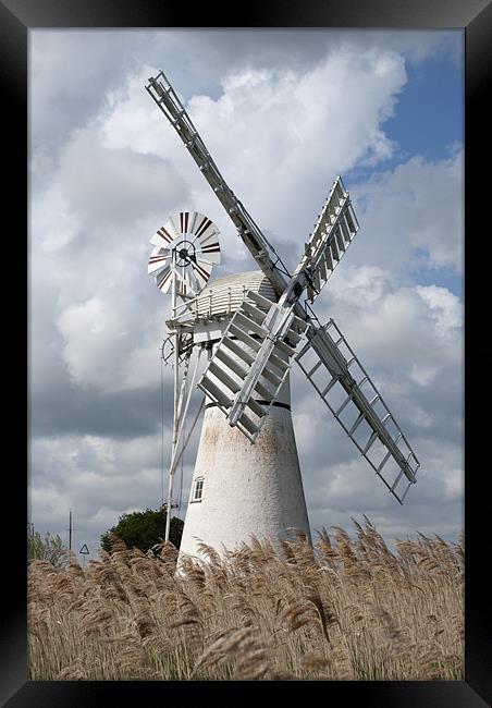 Thurne Drainage Mill, Norfolk. Framed Print by Damien VC