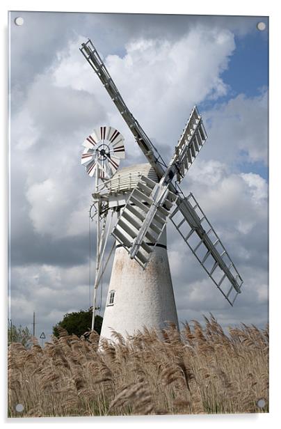 Thurne Drainage Mill, Norfolk. Acrylic by Damien VC