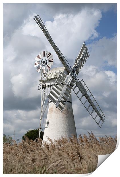 Thurne Drainage Mill, Norfolk. Print by Damien VC