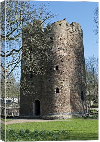 Cow Tower, Norwich Canvas Print by Damien VC