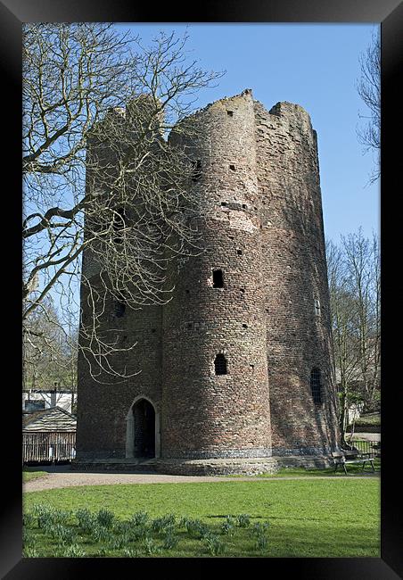 Cow Tower, Norwich Framed Print by Damien VC