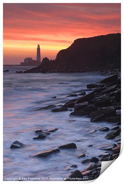 St.Mary's Lighthouse Print by Ray Pritchard