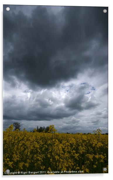 Storm over Rapeseed Field Acrylic by Nigel Bangert