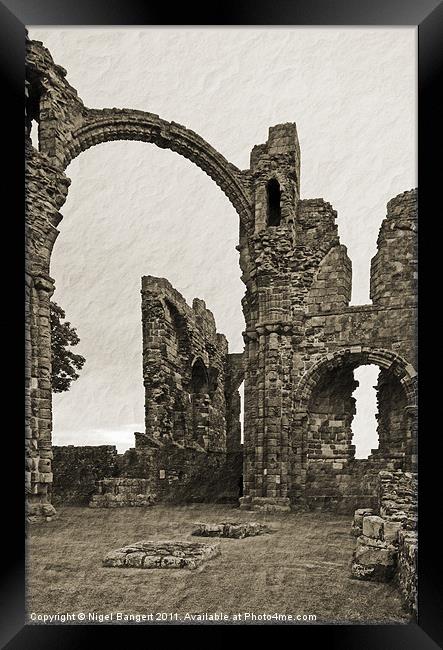 Holy Island Priory Framed Print by Nigel Bangert