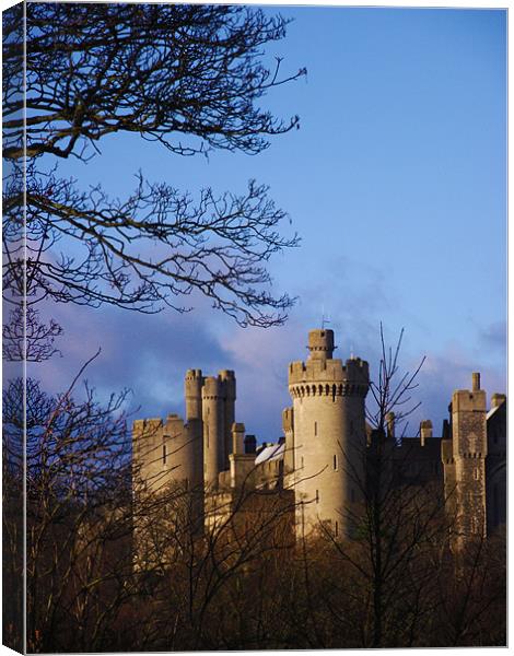 Arendul Castle Canvas Print by Kate Hartfield