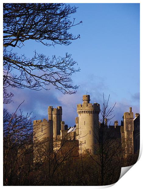 Arendul Castle Print by Kate Hartfield