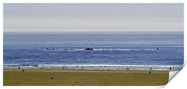 SANTA MONICA BEACH Print by radoslav rundic