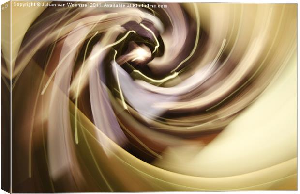 Swirl Canvas Print by Julian van Woenssel