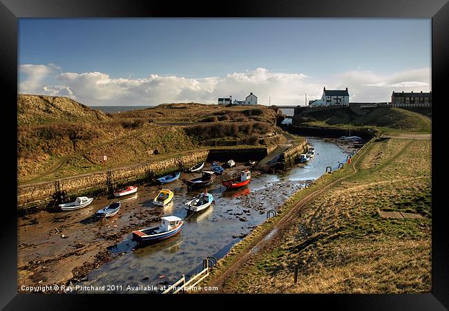 Seaton Sluice Framed Print by Ray Pritchard