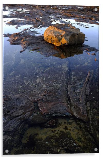 Dawn Rock Shelf Acrylic by Sue Wotton