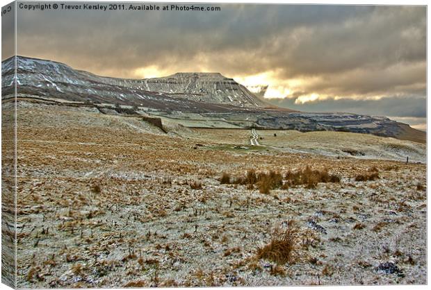 Dales Winter Canvas Print by Trevor Kersley RIP
