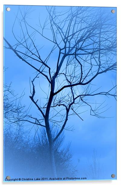 A shade of Blue Acrylic by Christine Lake