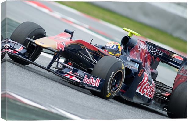 Jaime Alguersuari - Toro Rosso 2010 Canvas Print by SEAN RAMSELL