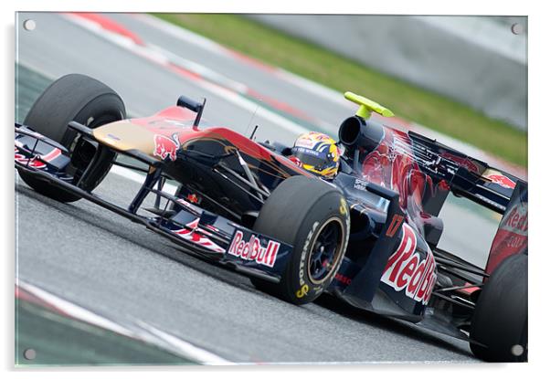 Jaime Alguersuari - Toro Rosso 2010 Acrylic by SEAN RAMSELL